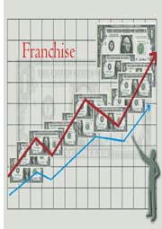 graphs showing franchise sales