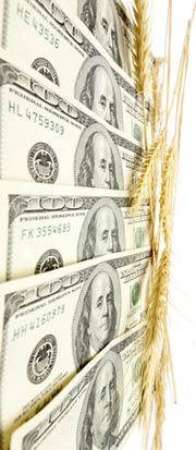 wheat and money