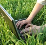 laptop work on lawn