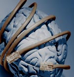 brain with network cables