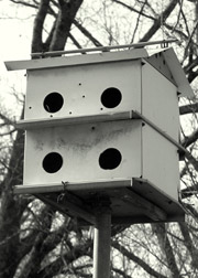 joined tenancy concept