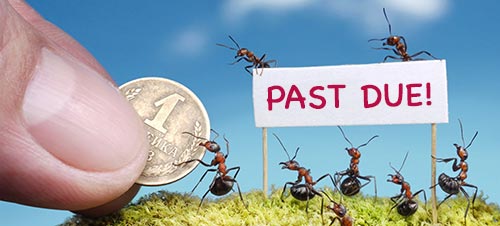 ants with payment notice