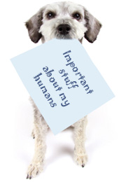 dog with information sheet in mouth