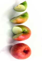 apple portions