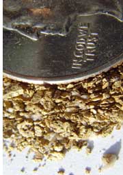 Guaranty gold nuggets and coin