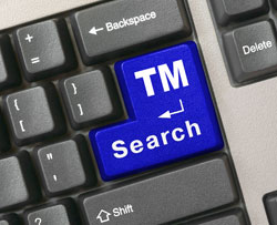 enter TM search on computer